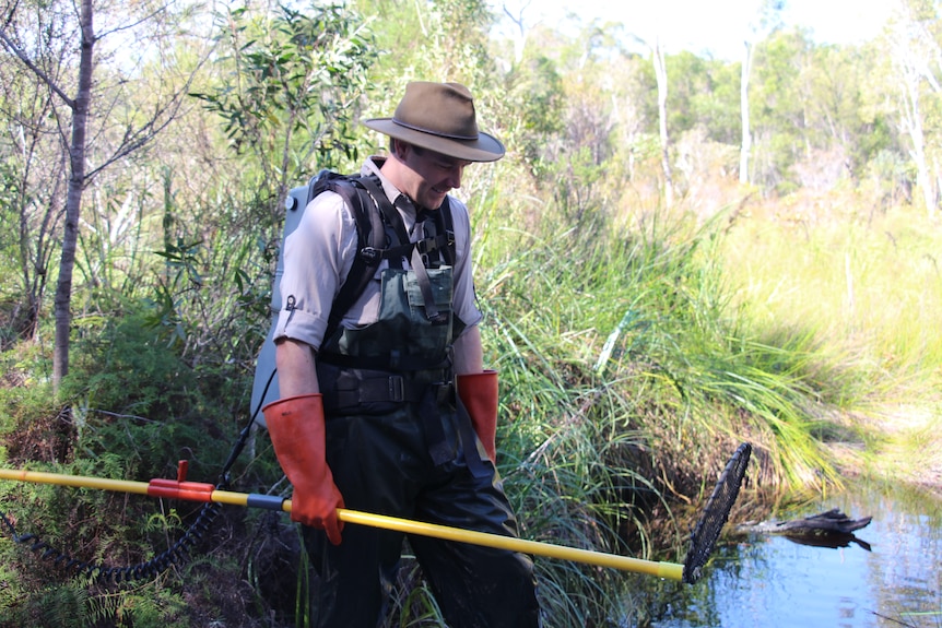 A man with a wide-brimmed hat and a yellow stick in his hand looks at the bush and the stream behind him.