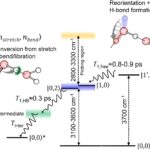 A spectroscopic technique that identifies water molecules on the surface shows how they relax after being excited.