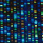 Highlights from an AP report on access to gene therapy for rare diseases