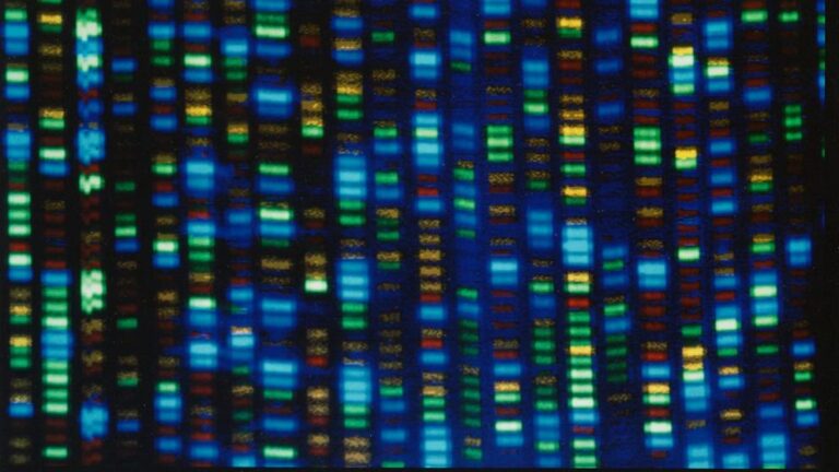 Highlights from an AP report on access to gene therapy for rare diseases