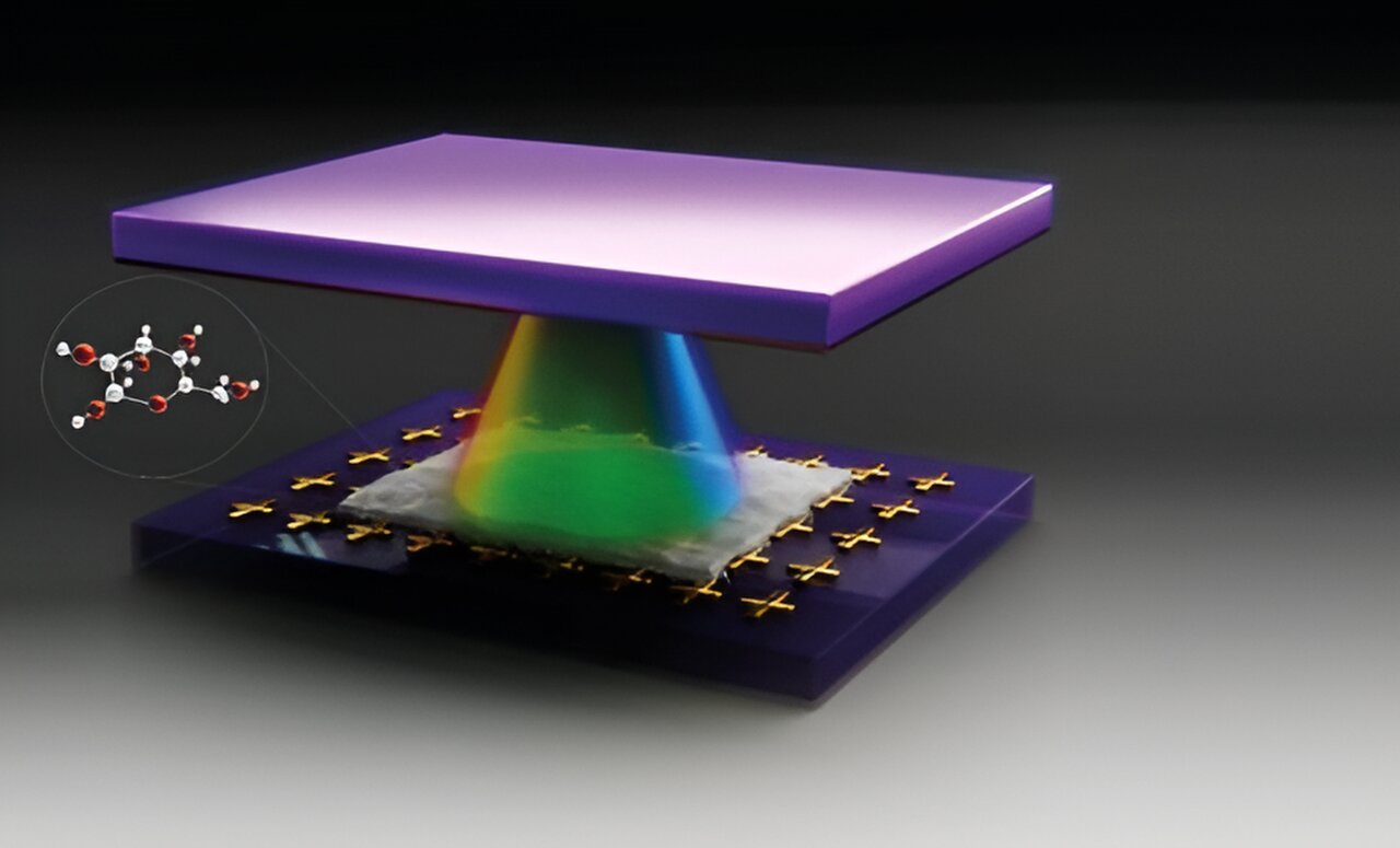 Q&A: The new method confines light inside an organic material to create a hybrid quantum state
