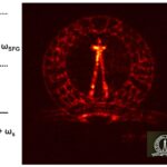 Turning on visible infrared light: The new device uses two-dimensional materials to convert infrared light