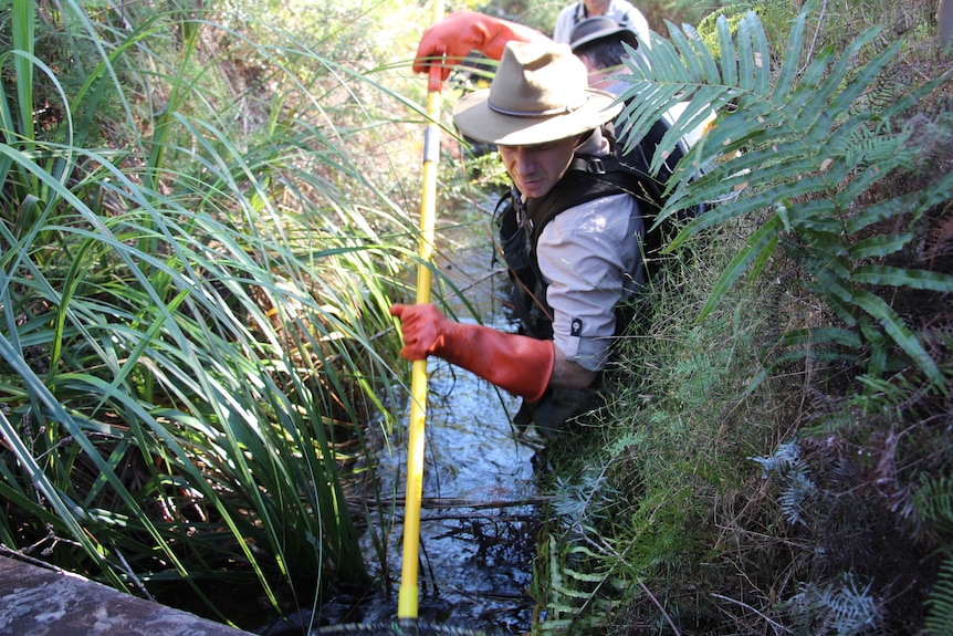 A man in a wide-brimmed hat waist-deep in water with other sheets around him